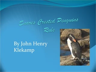 By John Henry Klekamp 