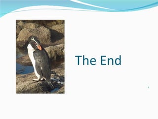 The End 