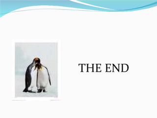 THE END 