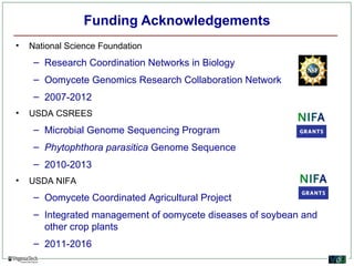 Funding Acknowledgements
•   National Science Foundation
     – Research Coordination Networks in Biology
     – Oomycete Genomics Research Collaboration Network
     – 2007-2012
•   USDA CSREES
     – Microbial Genome Sequencing Program
     – Phytophthora parasitica Genome Sequence
     – 2010-2013
•   USDA NIFA
     – Oomycete Coordinated Agricultural Project
     – Integrated management of oomycete diseases of soybean and
       other crop plants
     – 2011-2016
 