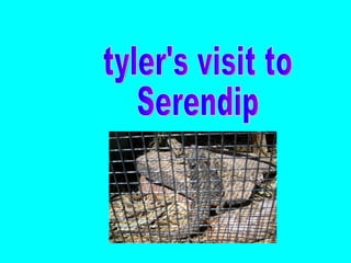tyler's visit to Serendip 