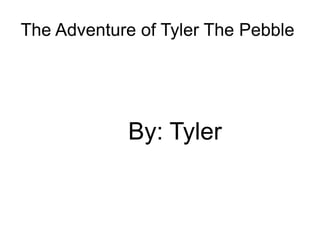 The Adventure of Tyler The Pebble  By: Tyler   