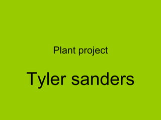 Plant project Tyler sanders 
