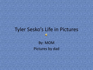 Tyler Sesko’s Life in Pictures

           By: MOM
        Pictures by dad
 