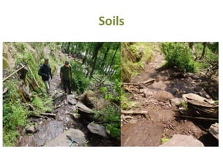 Soils
 