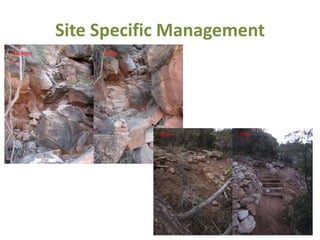 Site Specific Management
 