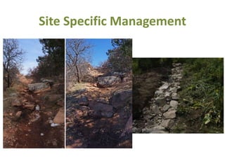 Site Specific Management
 