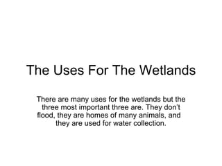 The Uses For The Wetlands There are many uses for the wetlands but the three most important three are. They don’t flood, they are homes of many animals, and  they are used for water collection. 
