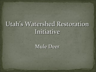 Utah’s Watershed RestorationUtah’s Watershed Restoration
InitiativeInitiative
Mule DeerMule Deer
 