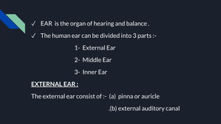 ✓ EAR is the organ of hearing and balance .
✓ The human ear can be divided into 3 parts :-
1- External Ear
2- Middle Ear
3- Inner Ear
EXTERNAL EAR :
The external ear consist of :- (a) pinna or auricle
.(b) external auditory canal
 