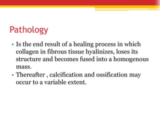 Pathology
• Is the end result of a healing process in which
collagen in fibrous tissue hyalinizes, loses its
structure and becomes fused into a homogenous
mass.
• Thereafter , calcification and ossification may
occur to a variable extent.
 