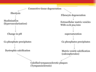 Connective tissue degeneration
fibrolysis
Hyalinization
(hypovascularization)
Change in pH
Ca phosphate precipitates
Dystrophic calcification
Fibrocyte degeneration
Extracellular matrix vesicles
With ca & po4 ions
supersaturation
Ca phosphates precipitates
Matrix vesicle calcification
(calcospherules)
Calcified tympanosclerotic plaques
(Tympanosclerosis)
 