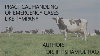 PRACTICAL HANDLING
OF EMERGENCY CASES
LIKE TYMPANY
AUTHOR:
DR. IHTISHAM UL HAQ
 