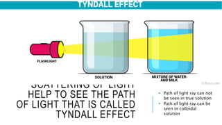SCATTERING OF LIGHT
HELP TO SEE THE PATH
OF LIGHT THAT IS CALLED
TYNDALL EFFECT
 Path of light ray can not
be seen in true solution
 Path of light ray can be
seen in colloidal
solution
 