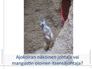 Ajokoiran	näköinen	johtaja	vai	
mangusXn	oloinen	itsensäjohtaja?	
8	
©	Marja	Viluksela	2016	
Kuva:	Marja	Viluksela	
 