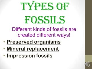 Types of
         Fossils
    Different kinds of fossils are
       created different ways!
• Preserved organisms
• Mineral replacement
• Impression fossils
 