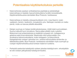 © Luonnonvarakeskus
Potentiaalisia käyttötarkoituksia perkeille
• Kalannahkoista saadaan antibakteerisia peptidejä ja esikäsiteltyjä
kalannahkoja on käytetty haavanhoitotuotteina hyvällä menestyksellä.
Käyttömahdollisuuksia selvitetään Blue Products- hankkeessa.
• Kalannahkoja on käytetty artesaanituotteisiin (mm. Liisa Saarni), kuten
vaatteisiin, kenkiin, laukkuihin, lompakoihin yms. Nahkojen menekki on melko
pientä, mutta voi kasvaa pitkällä aikavälillä.
• Kalojen suomuja on helppo kerätä jalostuksessa, mikäli kalat suomustetaan.
Suomut säilyvät hyvin kuivattuna. Sama pätee pitkälti myös ruotoihin.
Molemmat ovat proteiinipitoisia ja sisältävät runsaasti mm. kollageenia ja
gelatiinia sekä kivennäisaineita. Maailmalla niitä hyödynnetään mm.
arvokkaina lisäravinnetuotteina, kuten kollageeni- ja kalsiumlisinä.
Kalagelatiinista voidaan valmistaa mm. erilaisia kalvotuotteita elintarvike- ja
lääketeollisuudelle. Blue Products- hankkeessa selvitetään myös suomujen ja
ruotojen käyttömahdollisuuksia korkean lisäarvon tuotteina.
• Perkeistä saatavista kalaöljyistä voidaan jalostaa kalaöljyä esim. rehukäyttöön
tai sitä voidaan jatkojalostaa kalaöljyvernissaksi.
4 10.12.2018Esa Erkamo
 