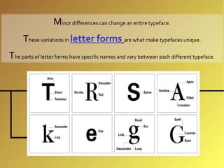 Minor differences can change an entire typeface.
     These variations in letter forms are what make typefaces unique.
The parts of letter forms have specific names and vary between each different typeface.
 