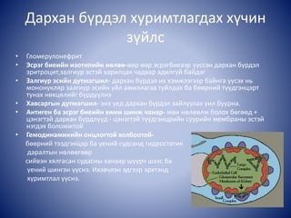 Дархан бүрдэл хуримтлагдах хүчин
зүйлс
• Гломерулонефрит
• Эсрэг биеийн изотипийн нөлөө-өөр өөр эсрэгбиеээр үүссэн дархан бүрдэл
эритроцит,залгиур эстэй харилцах чадвар адилгүй байдаг
• Залгиур эсийн дутмагшил- дархан бүрдэл их хэмжээгээр байнга үүсэх нь
мононукляр залгиур эсийн үйл ажиллагаа туйлдах ба бөөрний түүдгэнцэрт
тунах нөхцөлийг бүрдүүлнэ
• Хавсаргын дутмагшил- энэ үед дархан бүрдэл зайлуулах үил буурна.
• Антиген ба эсрэг биеийн хими шинж чанар- мөн нөлөөлж болох бөгөөд +
цэнэгтэй дархан бүрдлүүд - цэнэгтэй түүдгэнцрийн суурийн мембраны эстэй
нэгдэх боломжтой
• Гемодинамикийн онцлогтой холбоотой-
бөөрний тээдгэнцэр ба үений судсанд гидростатик
даралтын нөлөөгөөр
сийвэн хялгасан судасны ханаар шүүрч шээс ба
үений шингэн үүснэ. Ихэвчлэн эдгээр эрхтэнд
хуримтлал үүснэ.
 