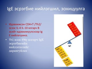 IgE эсрэгбие нийлэгшил, зохицуулга
• Идэвхижсэн CD4+T /Th2/
эсээс IL-4 IL-10 ялгарч В
эсийг идэвхижүүлснээр Ig
E нийлэгшинэ.
• Th1 эсээс IFNγ ялгарч IgE
эсрэгбиемйн
нийлэгшлийг
дарангуйлах
 