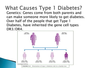Genetics: Genes come from both parents and
can make someone more likely to get diabetes.
Over half of the people that get Type 1
Diabetes, have inherited the gene cell types
DR3/DR4.
 