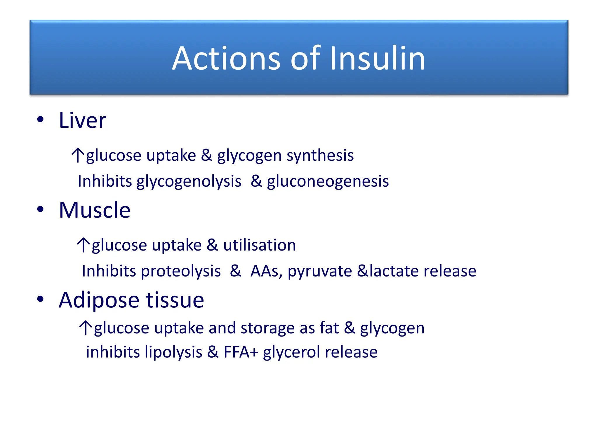 Type 1 Diabetes and Insulin UG Classes.pptx