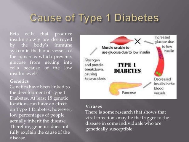 Type 1 diabetes powerpoint