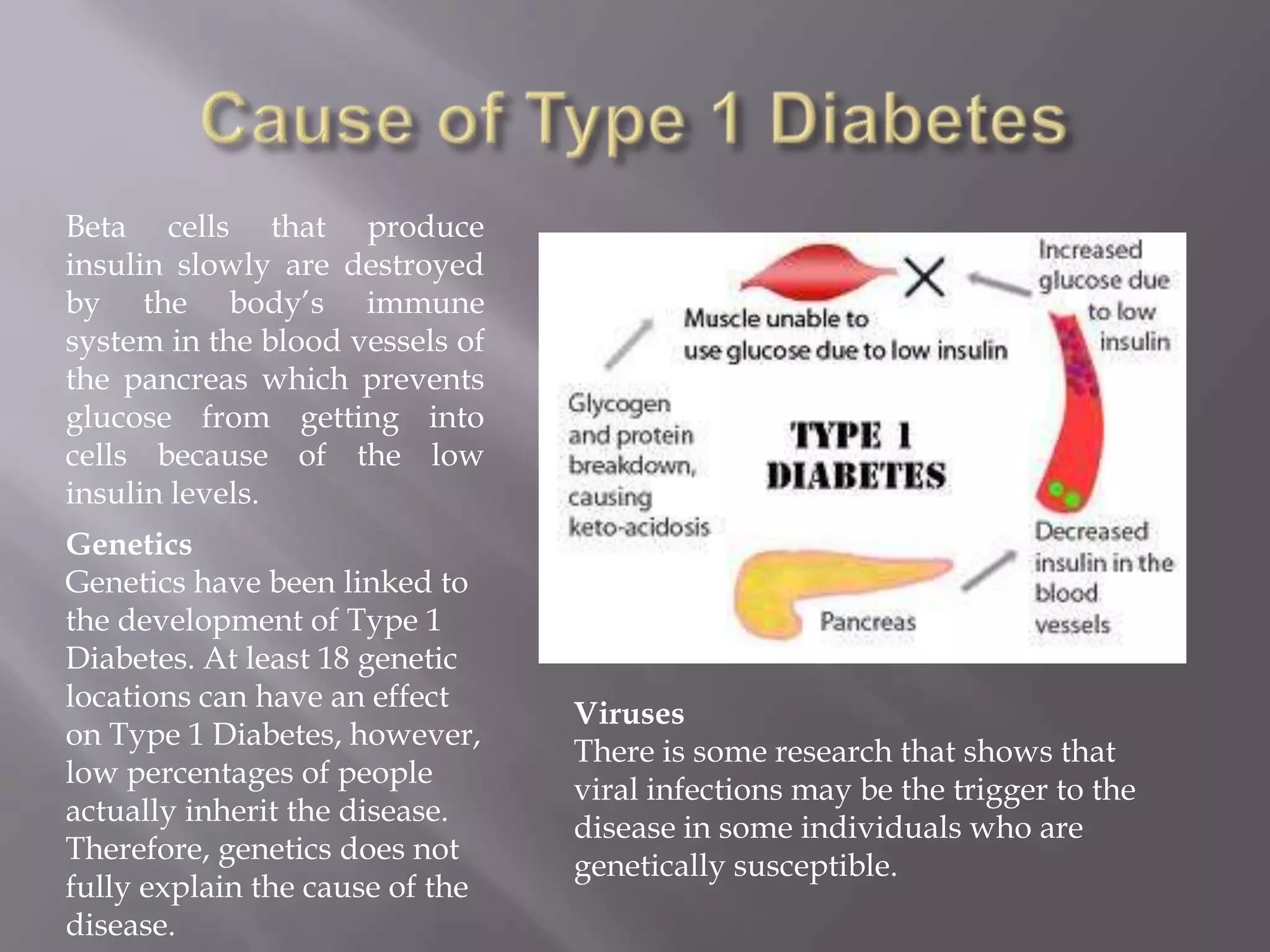 Type 1 Diabetes Powerpoint | PPTX