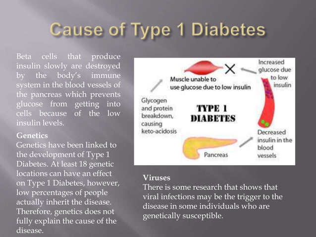 Type 1 Diabetes Powerpoint | PPT