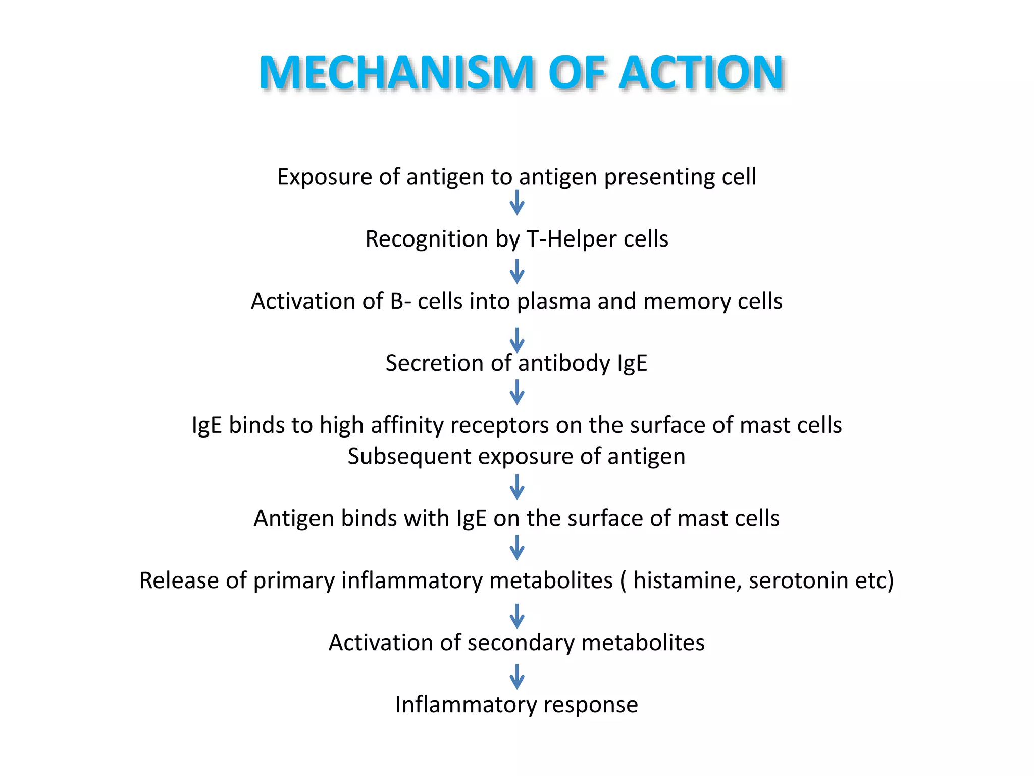 MECHANISM OF ACTION
Exposure of antigen to antigen presenting cell
Recognition by T-Helper cells
Activation of B- cells into plasma and memory cells
Secretion of antibody IgE
IgE binds to high affinity receptors on the surface of mast cells
Subsequent exposure of antigen
Antigen binds with IgE on the surface of mast cells
Release of primary inflammatory metabolites ( histamine, serotonin etc)
Activation of secondary metabolites
Inflammatory response
 