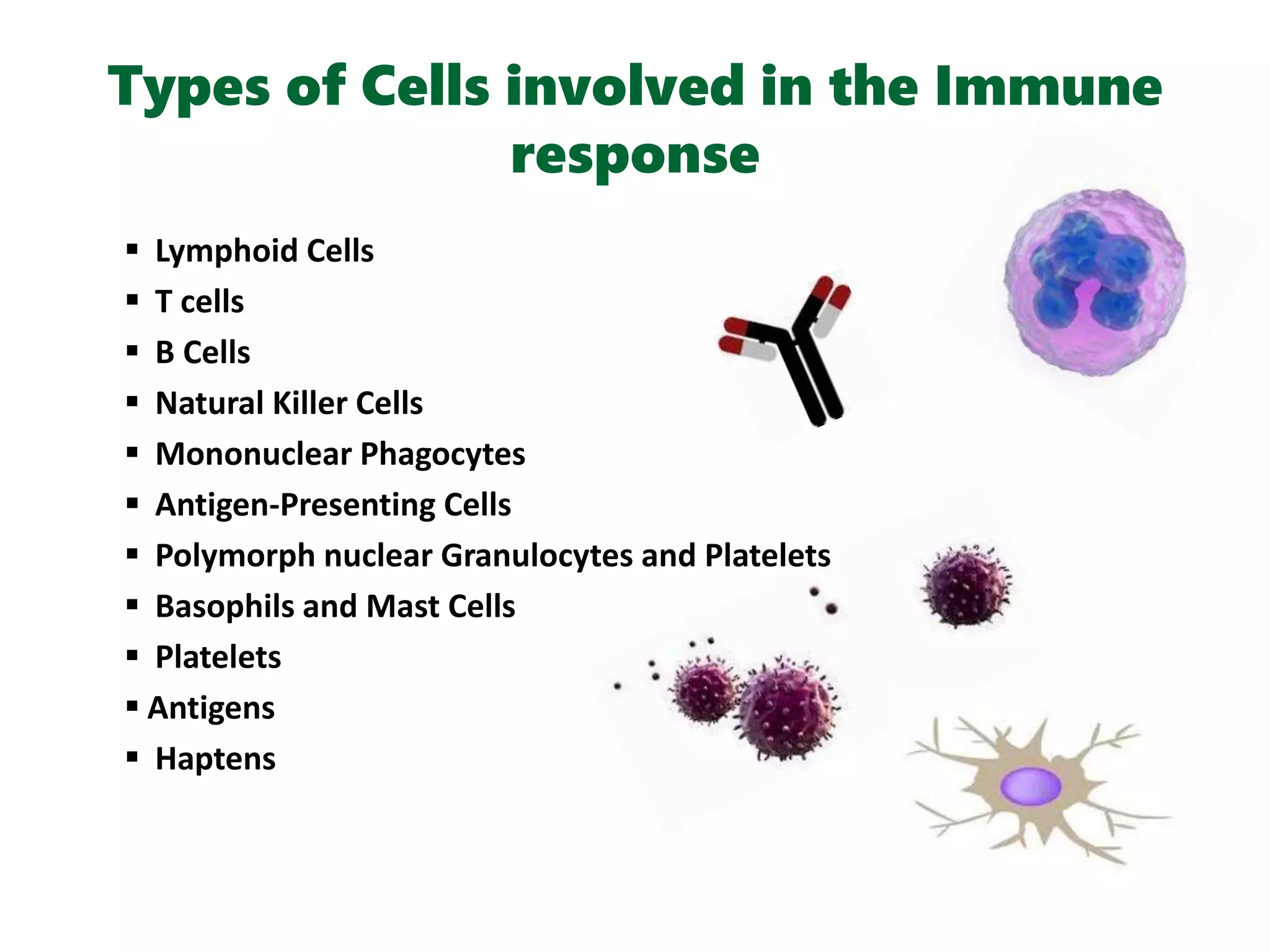 Types of Cells involved in the Immune
response
 Lymphoid Cells
 T cells
 B Cells
 Natural Killer Cells
 Mononuclear Phagocytes
 Antigen-Presenting Cells
 Polymorph nuclear Granulocytes and Platelets
 Basophils and Mast Cells
 Platelets
 Antigens
 Haptens
 