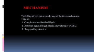 MECHANISM
The killing of cell can occurs by one of the three mechanisms.
They are-
1. Complement mediated cell lysis
2. Antibody dependent cell mediated cytotoxicity (ADCC)
3. Target cell dysfunction
 