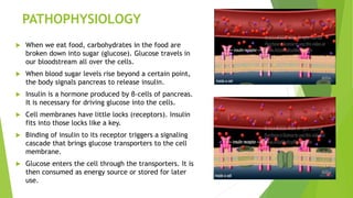 PATHOPHYSIOLOGY
 When we eat food, carbohydrates in the food are
broken down into sugar (glucose). Glucose travels in
our bloodstream all over the cells.
 When blood sugar levels rise beyond a certain point,
the body signals pancreas to release insulin.
 Insulin is a hormone produced by β-cells of pancreas.
It is necessary for driving glucose into the cells.
 Cell membranes have little locks (receptors). Insulin
fits into those locks like a key.
 Binding of insulin to its receptor triggers a signaling
cascade that brings glucose transporters to the cell
membrane.
 Glucose enters the cell through the transporters. It is
then consumed as energy source or stored for later
use.
 