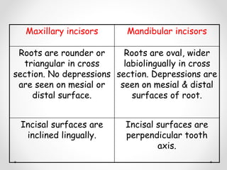 TYPE and Arch TRAITS OF InNCISORS.pptx
