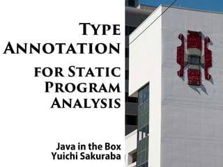 Type Annotation for Static Program Analysis