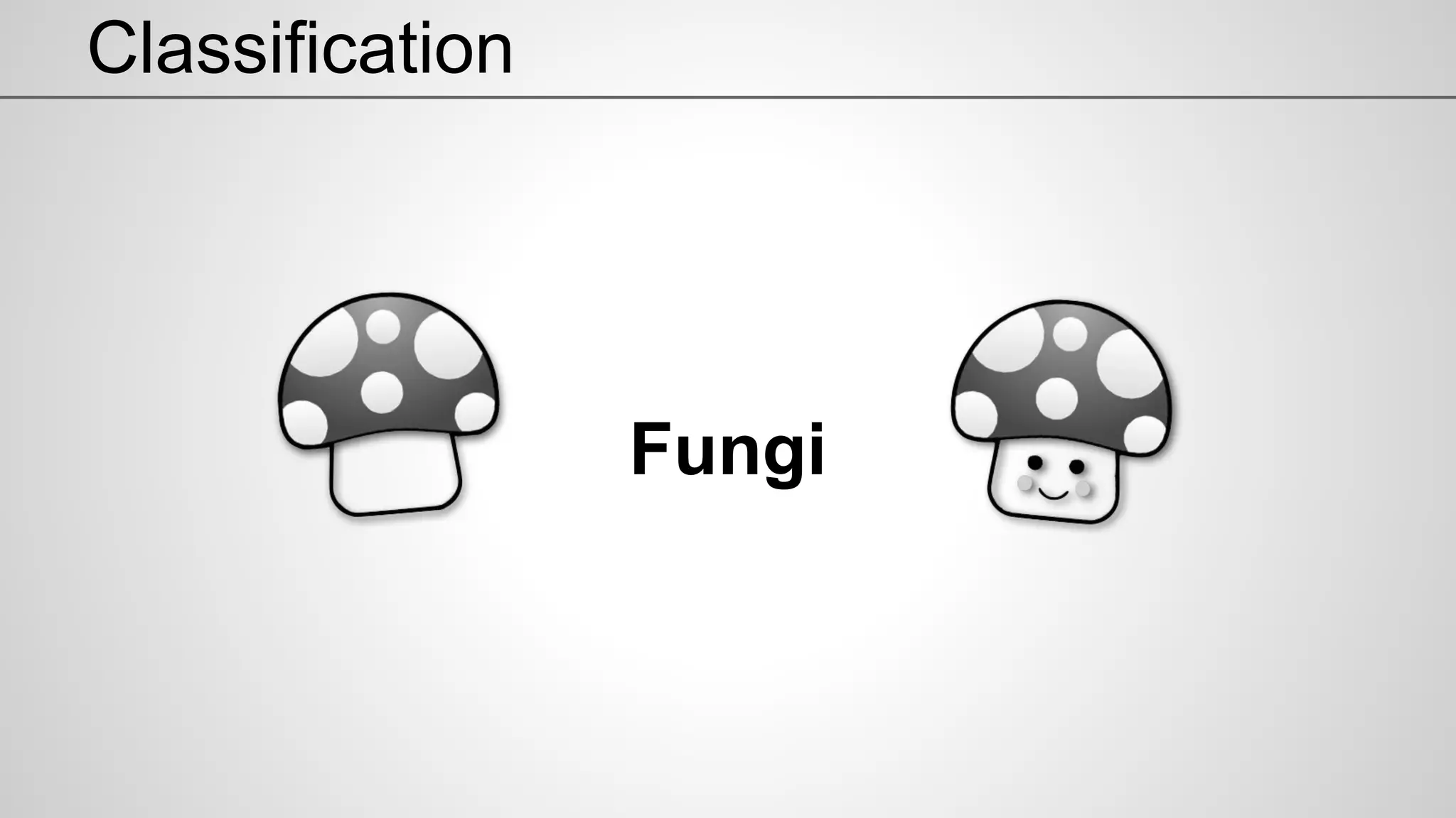 Classification
Fungi
 