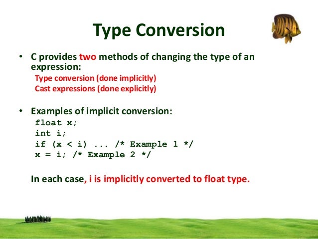type-conversion