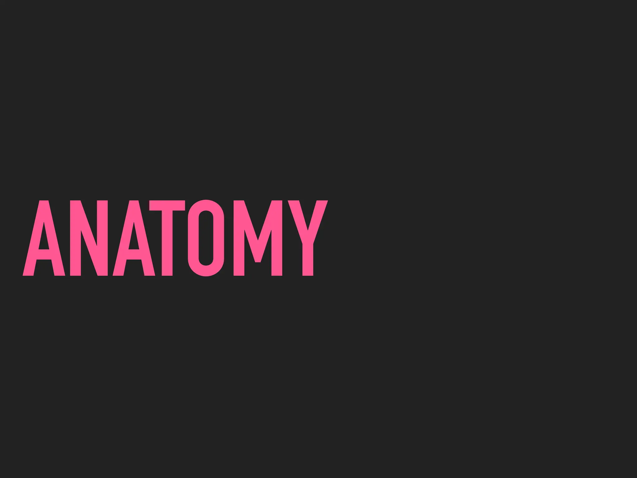 Typography Anatomy for serif and sans serif letterforms | PDF
