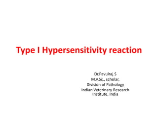 Type I Hypersensitivity reaction
Dr.Pavulraj.S
M.V.Sc., scholar,
Division of Pathology
Indian Veterinary Research
Institute, India
 