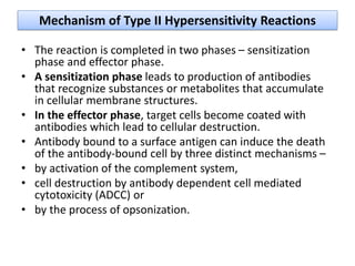 Mechanism of Type II Hypersensitivity Reactions
• The reaction is completed in two phases – sensitization
phase and effector phase.
• A sensitization phase leads to production of antibodies
that recognize substances or metabolites that accumulate
in cellular membrane structures.
• In the effector phase, target cells become coated with
antibodies which lead to cellular destruction.
• Antibody bound to a surface antigen can induce the death
of the antibody-bound cell by three distinct mechanisms –
• by activation of the complement system,
• cell destruction by antibody dependent cell mediated
cytotoxicity (ADCC) or
• by the process of opsonization.
 