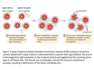 Figure- A type II hypersensitivity hemolytic transfusion reaction (HTR) leading to hemolytic
anemia. Blood from a type A donor is administered to a patient with type B blood. The anti-A
isohemagglutinin IgM antibodies in the recipient bind to and agglutinate the incoming donor
type A red blood cells. The bound anti-A antibodies activate the classical complement
cascade, resulting in destruction of the donor red blood cells.
 