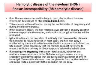Hemolytic disease of the newborn (HDN)
Rhesus incompatibility (Rh hemolytic disease)
• If an Rh− woman carries an Rh+ baby to term, the mother’s immune
system can be exposed to Rh+ fetal red blood cells.
• This exposure will usually occur during the last trimester of pregnancy and
during the delivery process.
• If this exposure occurs, the Rh+ fetal RBCs will activate a primary adaptive
immune response in the mother, and anti-Rh factor IgG antibodies will be
produced.
• IgG antibodies are the only class of antibody that can cross the placenta
from mother to fetus; however, in most cases, the first Rh+ baby is
unaffected by these antibodies because the first exposure typically occurs
late enough in the pregnancy that the mother does not have time to
mount a sufficient primary antibody response before the baby is born.
• If a subsequent pregnancy with an Rh+ fetus occurs, however, the
mother’s second exposure to the Rh factor antigens causes a strong
secondary antibody response that produces larger quantities of anti-Rh
factor IgG. These antibodies can cross the placenta from mother to fetus
and cause HDN, a potentially lethal condition for the baby.
 