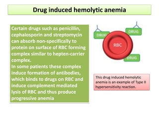 Drug induced hemolytic anemia
This drug induced hemolytic
anemia is an example of Type II
hypersensitivity reaction.
Certain drugs such as penicillin,
cephalosporin and streptomycin
can absorb non-specifically to
protein on surface of RBC forming
complex similar to hepten-carrier
complex.
In some patients these complex
induce formation of antibodies,
which binds to drugs on RBC and
induce complement mediated
lysis of RBC and thus produce
progressive anemia
 