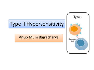 Type II Hypersensitivity
Anup Muni Bajracharya
 
