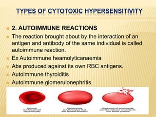  2. AUTOIMMUNE REACTIONS
 The reaction brought about by the interaction of an
antigen and antibody of the same individual is called
autoimmune reaction.
 Ex Autoimmune heamolyticanaemia
 Abs produced against its own RBC antigens.
 Autoimmune thyroiditis
 Autoimmune glomerulonephritis
TYPES OF CYTOTOXIC HYPERSENSITIVITY
 