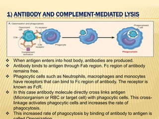 1) ANTIBODY AND COMPLEMENT-MEDIATED LYSIS
 When antigen enters into host body, antibodies are produced.
 Antibody binds to antigen through Fab region. Fc region of antibody
remains free.
 Phagocytic cells such as Neutrophils, macrophages and monocytes
have receptors that can bind to Fc region of antibody. The receptor is
known as FcR.
 In this case antibody molecule directly cross links antigen
(Microorganism or RBC or target cell) with phagocytic cells. This cross-
linkage activates phagocytic cells and increases the rate of
phagocytosis.
 This increased rate of phagocytosis by binding of antibody to antigen is
 