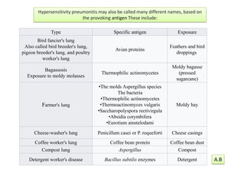 Type Specific antigen Exposure
Bird fancier's lung
Also called bird breeder's lung,
pigeon breeder's lung, and poultry
worker's lung
Avian proteins
Feathers and bird
droppings
Bagassosis
Exposure to moldy molasses
Thermophilic actinomycetes
Moldy bagasse
(pressed
sugarcane)
Farmer's lung
•The molds Aspergillus species
The bacteria
•Thermophilic actinomycetes
•Thermoactinomyces vulgaris
•Saccharopolyspora rectivirgula
•Absidia corymbifera
•Eurotium amstelodami
Moldy hay
Cheese-washer's lung Penicillum casei or P. roqueforti Cheese casings
Coffee worker's lung Coffee bean protein Coffee bean dust
Compost lung Aspergillus Compost
Detergent worker's disease Bacillus subtilis enzymes Detergent
Hypersensitivity pneumonitis may also be called many different names, based on
the provoking antigen These include:
A.B
 