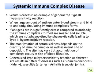 Systemic Immune Complex Disease
• Serum sickness is an example of generalized Type III
hypersensitivity reaction.
• When large amount of antigen enter blood stream and bind
to antibody, circulating immune complexes forms.
• If antigens are in significantly excess compared to antibody,
the immune complexes formed are smaller and soluble
which are not phagocytized by phagocytic cells leading to
Type III hypersensitivity reaction.
• The manifestation of serum sickness depends on the
quantity of immune complex as well as overall site of
deposition. The site may vary but accumulation of
complexes occurs at site of blood filtration.
• Generalized Type III hypersensitivity reaction at different
site results in different diseases such as Glomerulonephritis
(Kideny), vasculitis (arteries), Arthritis (synovial joints).
A.B
 