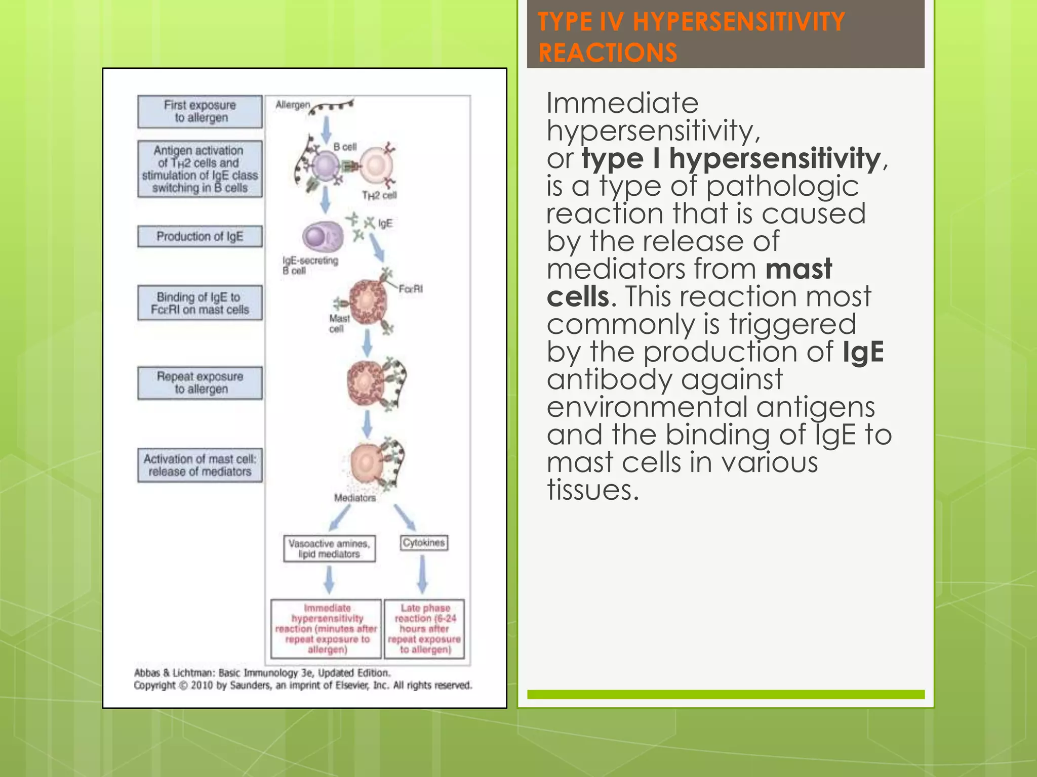 Type iv hypersensitivity reactions PPT