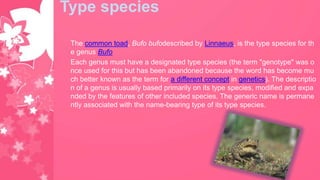 Type species
The common toad, Bufo bufodescribed by Linnaeus, is the type species for th
e genus Bufo
Each genus must have a designated type species (the term "genotype" was o
nce used for this but has been abandoned because the word has become mu
ch better known as the term for a different concept in genetics). The descriptio
n of a genus is usually based primarily on its type species, modified and expa
nded by the features of other included species. The generic name is permane
ntly associated with the name-bearing type of its type species.
 